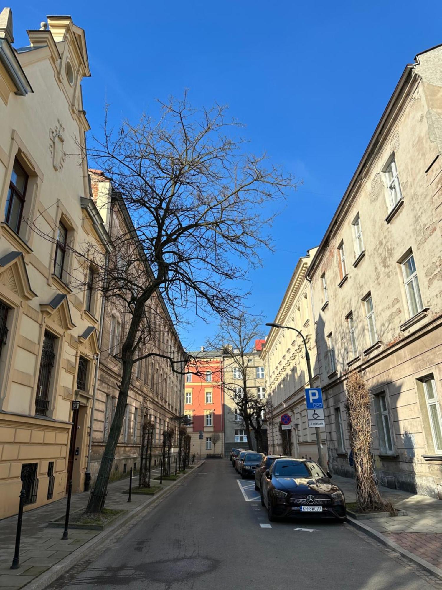 Apartment Perfect Place To In City Center 28m2 W1 *